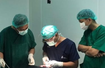 operasi bibir sumbing gratis