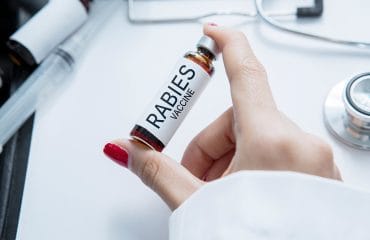 rabies adalah