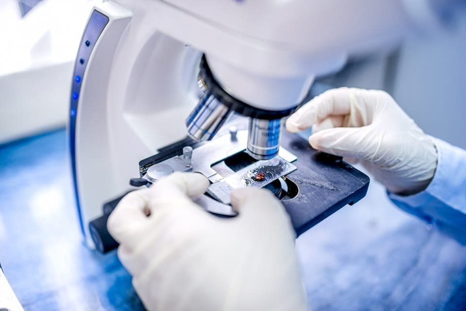 Penyakit yang Disebabkan oleh Virus