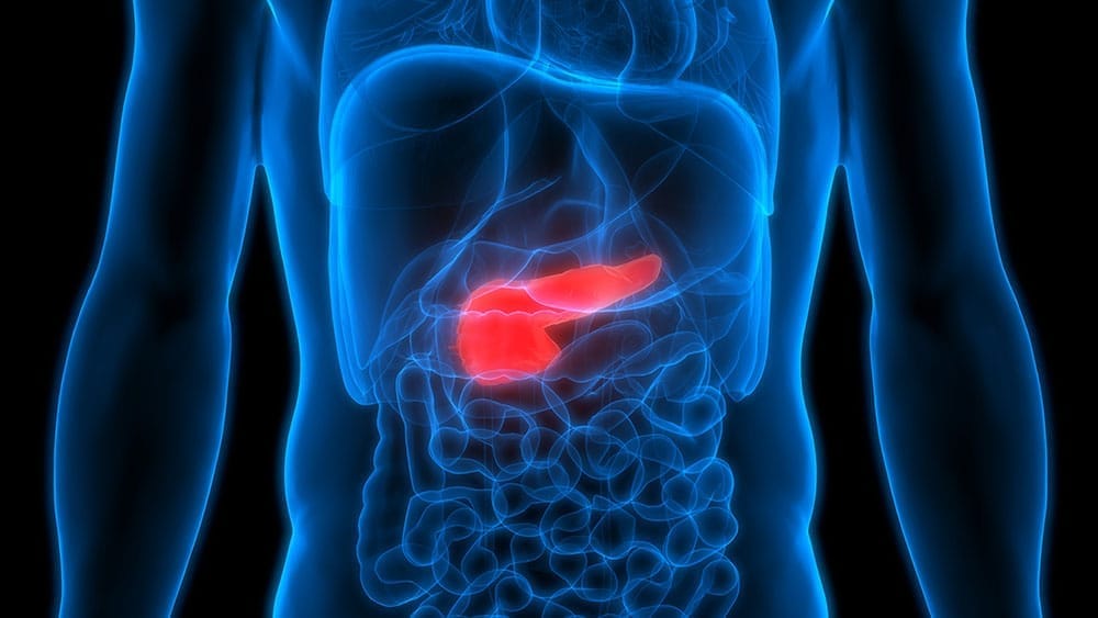 Apakah Hepatitis B Bisa Sembuh?