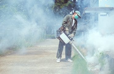 Chikungunya Disebabkan Oleh