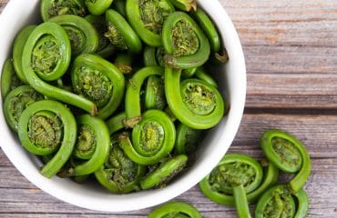 sayur pakis untuk ibu hamil