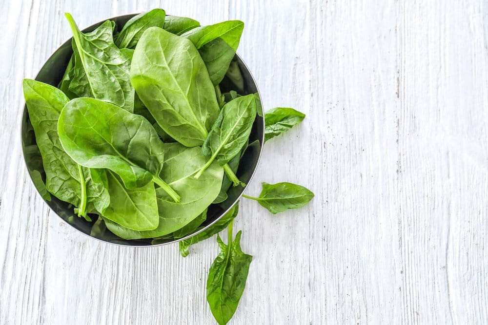 Makanan dan Minuman Tinggi Kalsium yang Enak dan Mudah Dicari