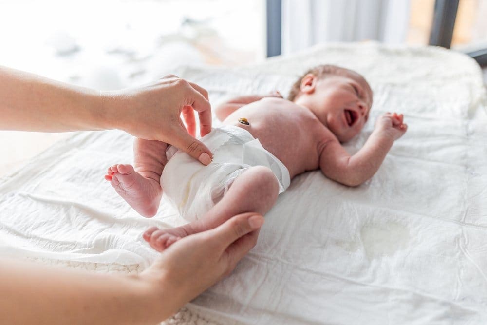 BAB Bayi Berlendir dan Berbiji