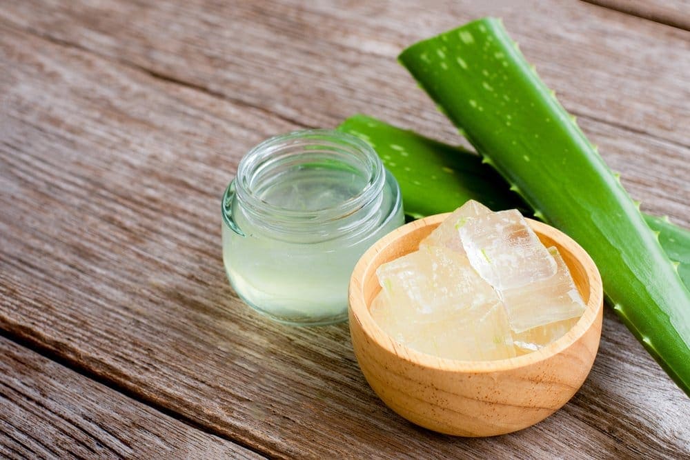 19 Manfaat Lidah Buaya untuk Kesehatan Tubuh dan Kulit