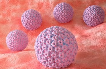 Human papillomavirus HPV