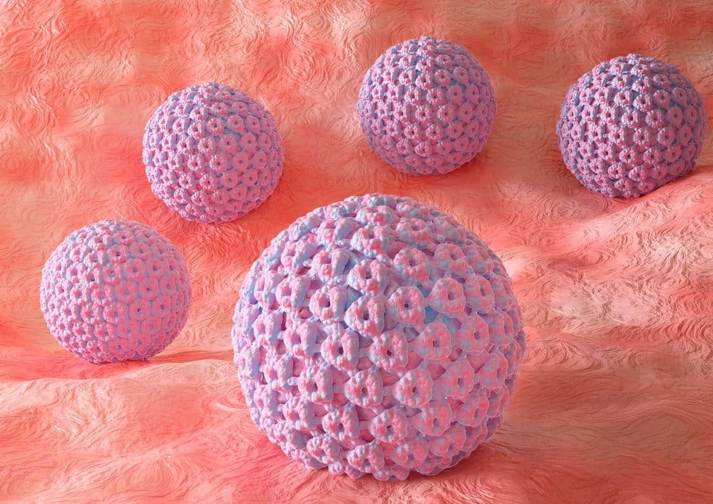 Human papillomavirus HPV