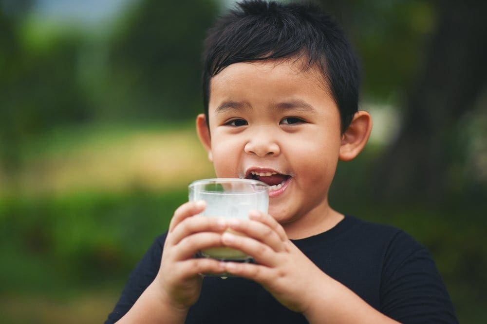 Perbedaan Susu UHT dan Evaporasi