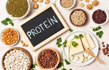 fungsi protein