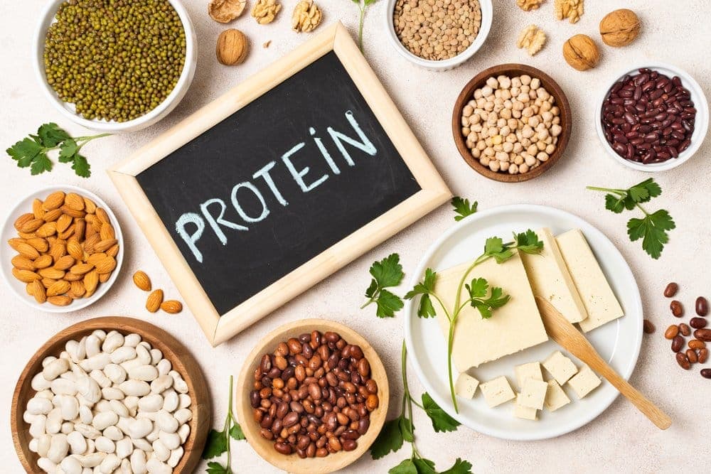 fungsi protein