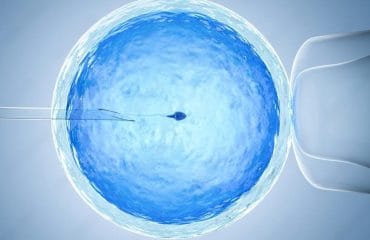bayi tabung IVF