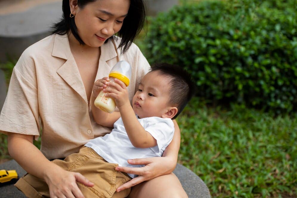 makanan untuk ibu menyusui