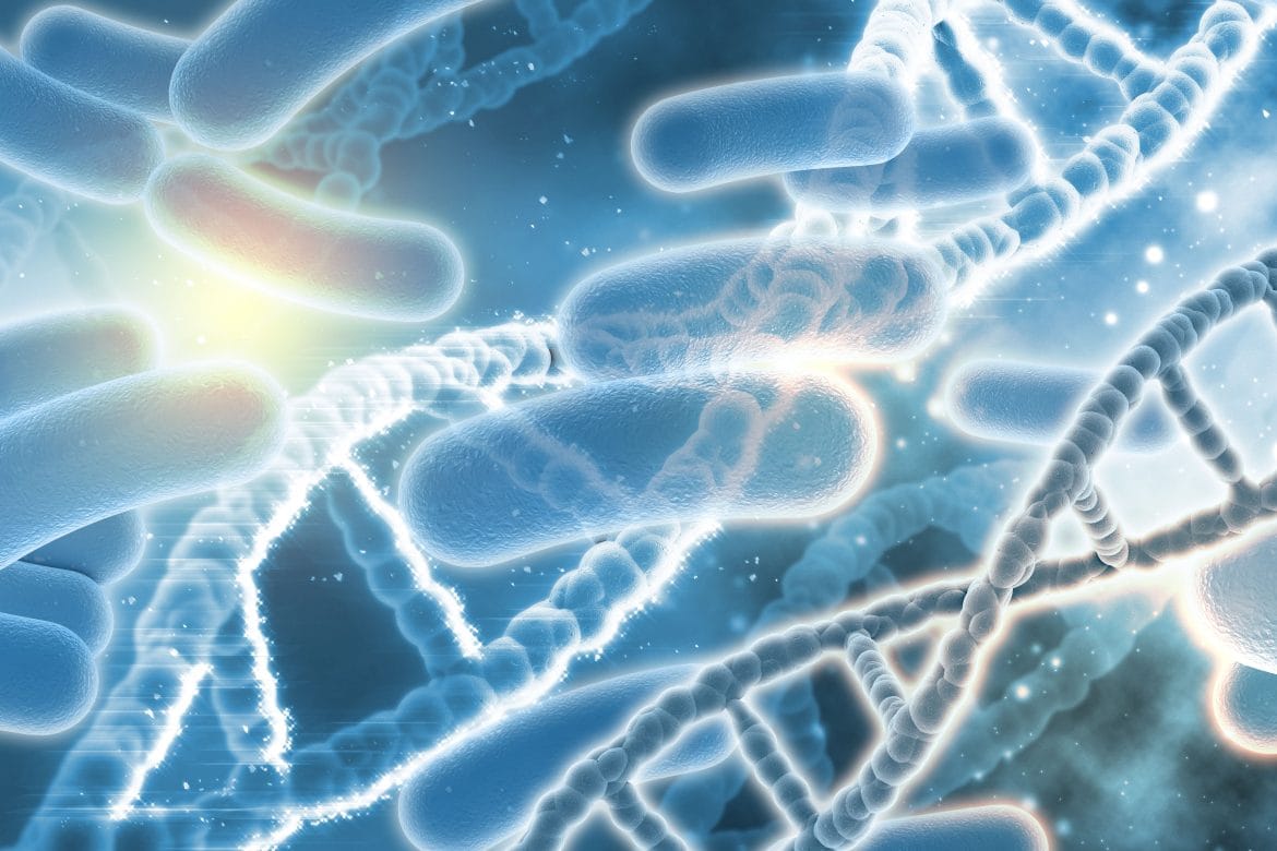 Mengenal Bakteri Salmonella Typhi dan Gejalanya