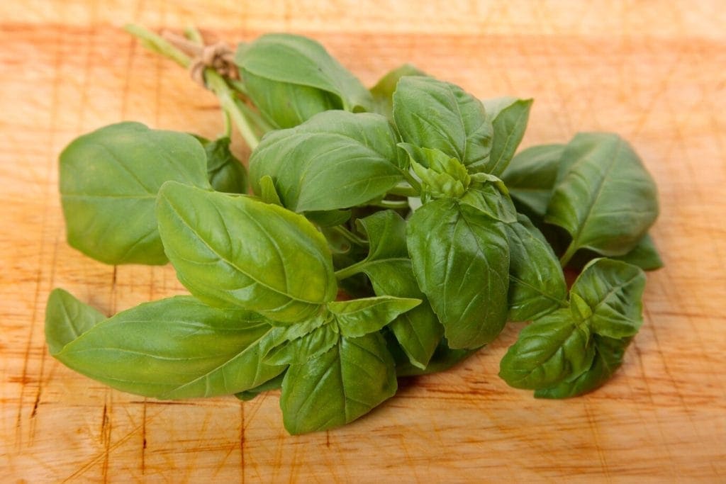 manfaat daun kemangi dimakan mentah