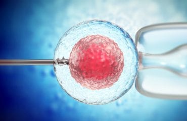 Proses Inseminasi Buatan