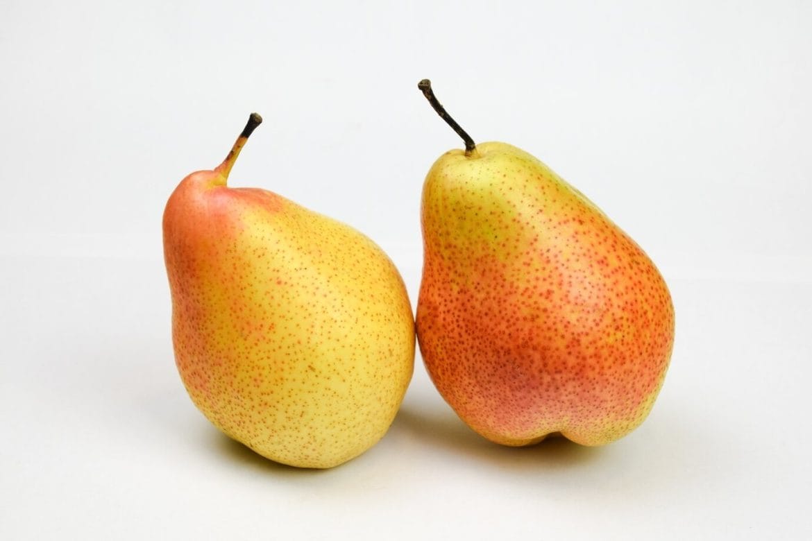 Manfaat buah pir