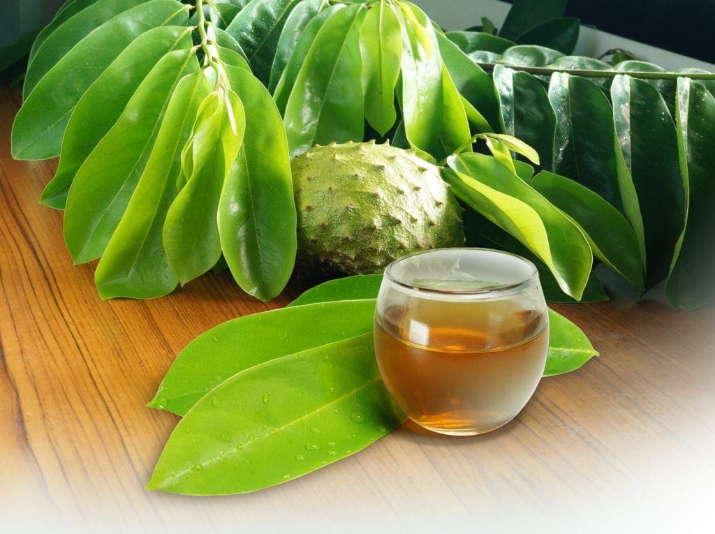 manfaat daun sirsak