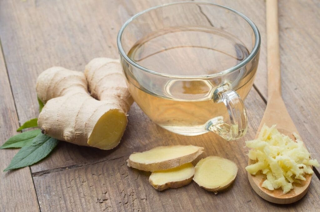 obat sakit perut alami