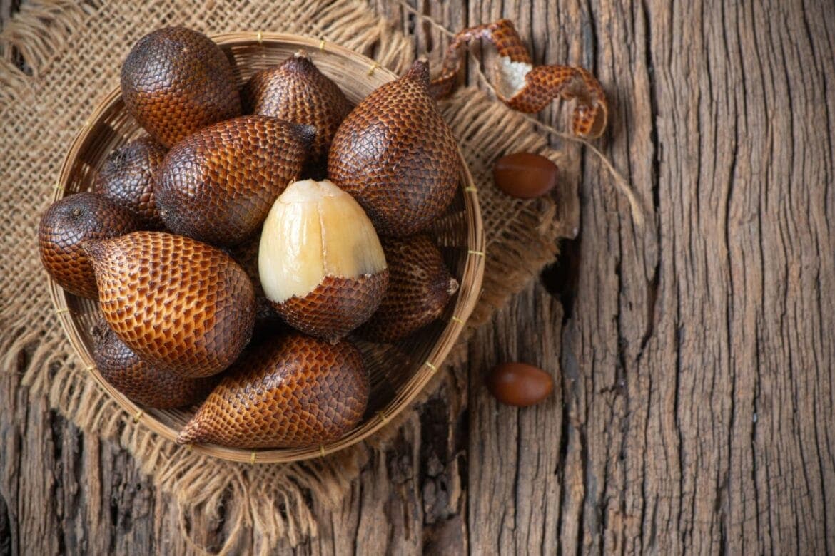 Manfaat salak