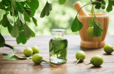 obat herbal stroke