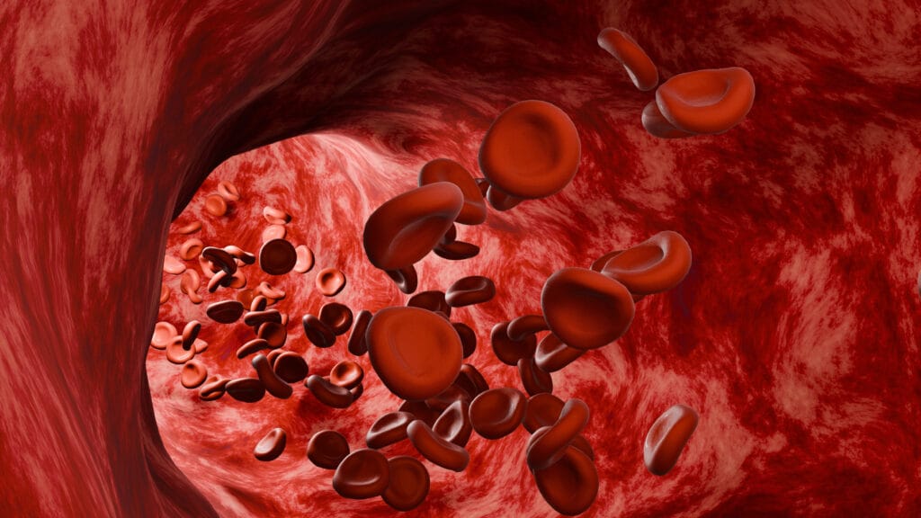 Fungsi hemoglobin