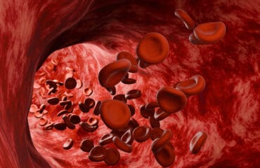 Fungsi hemoglobin