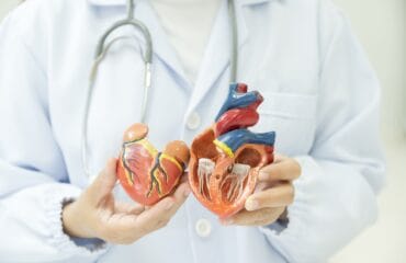 Berapa banyak katup jantung yang dimiliki manusia