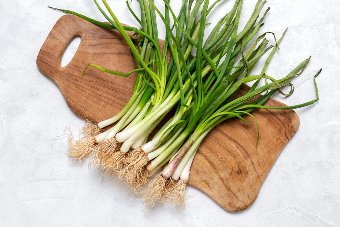 Manfaat daun kucai