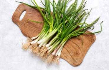 Manfaat daun kucai