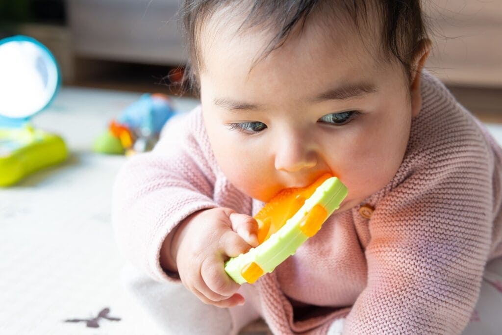 fase oral bayi
