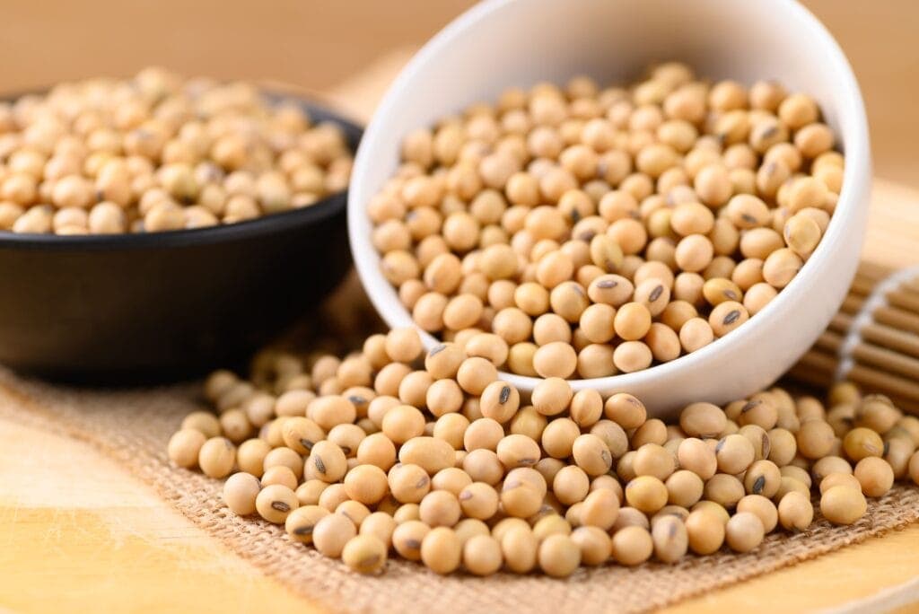 manfaat kacang kedelai