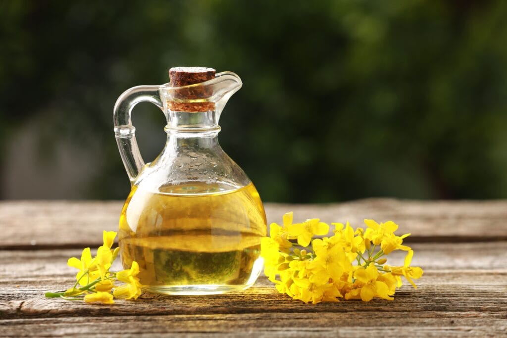 manfaat minyak canola