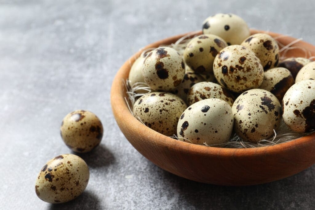 manfaat telur puyuh