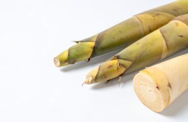manfaat rebung