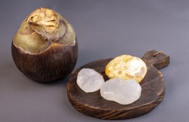 manfaat buah lontar