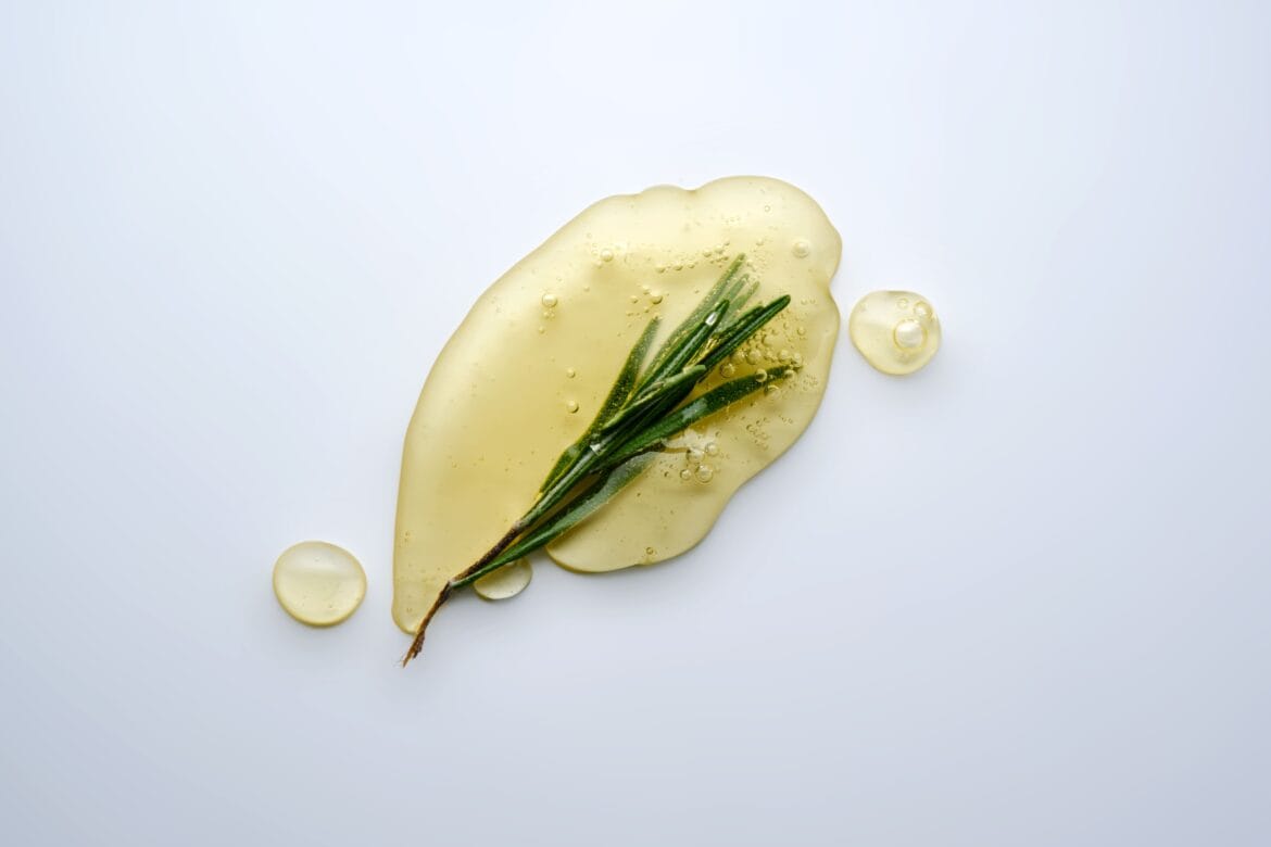 manfaat rosemary
