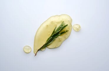 manfaat rosemary