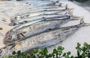 Manfaat ikan tenggiri