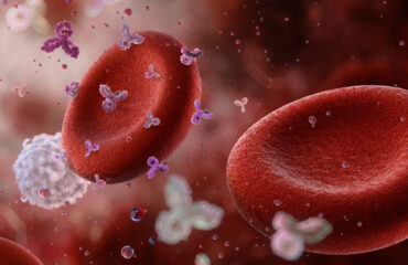 Anemia hemolitik adalah