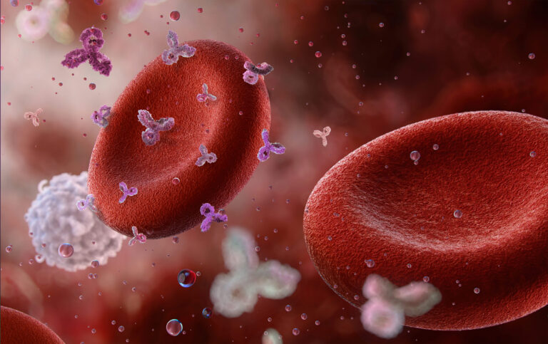 Anemia hemolitik adalah