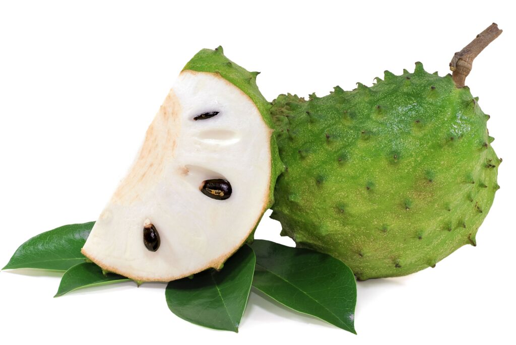 daun sirsak untuk obat kanker