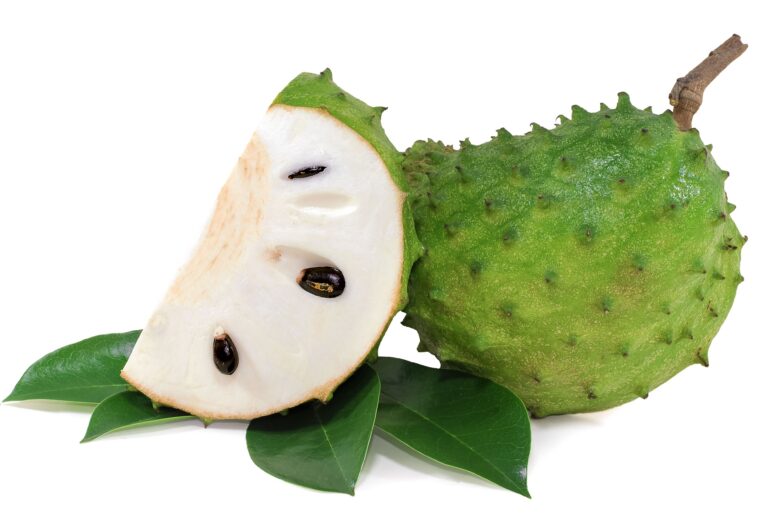 daun sirsak untuk obat kanker