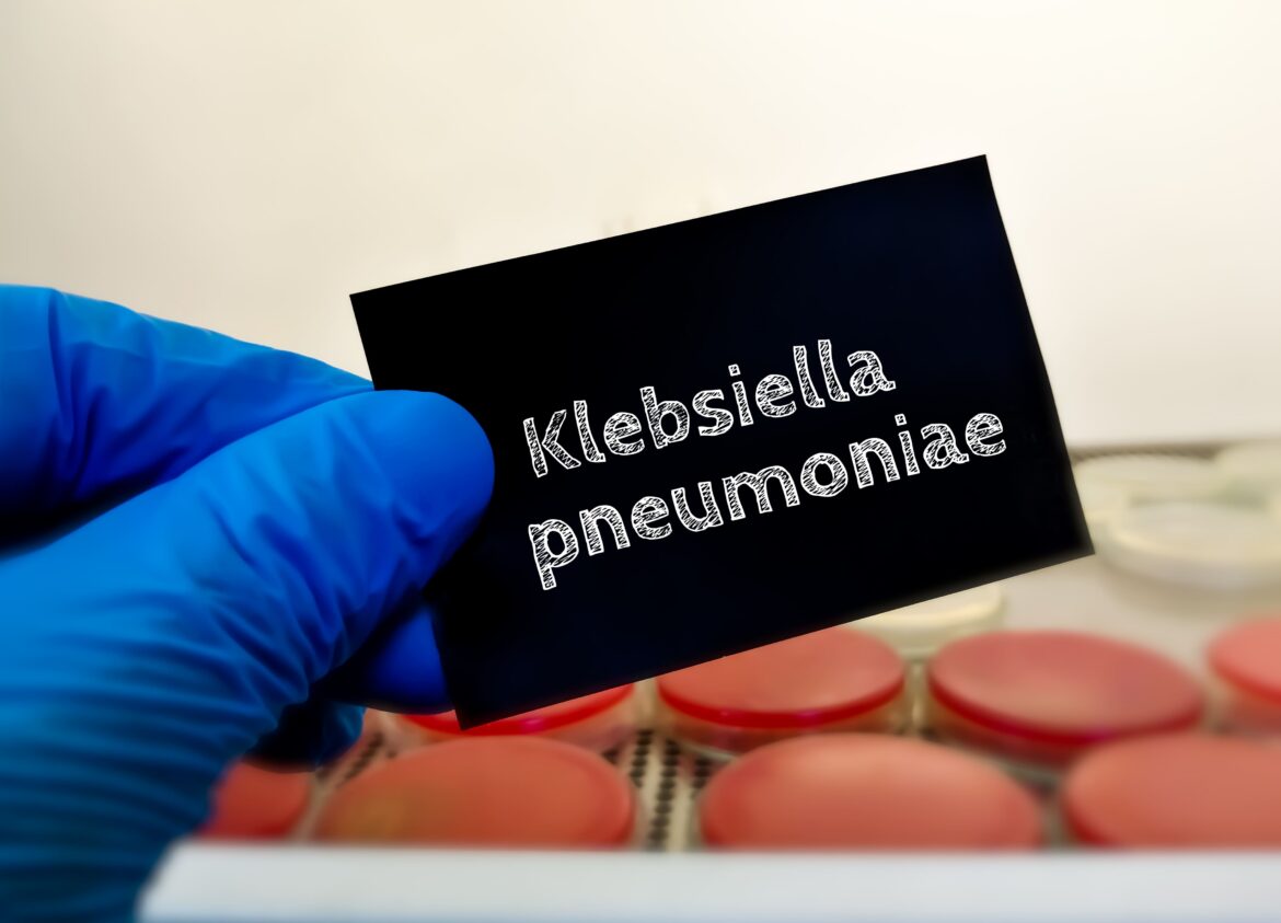 Klebsiella pneumoniae adalah
