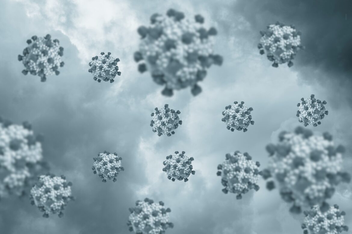 apa itu virus