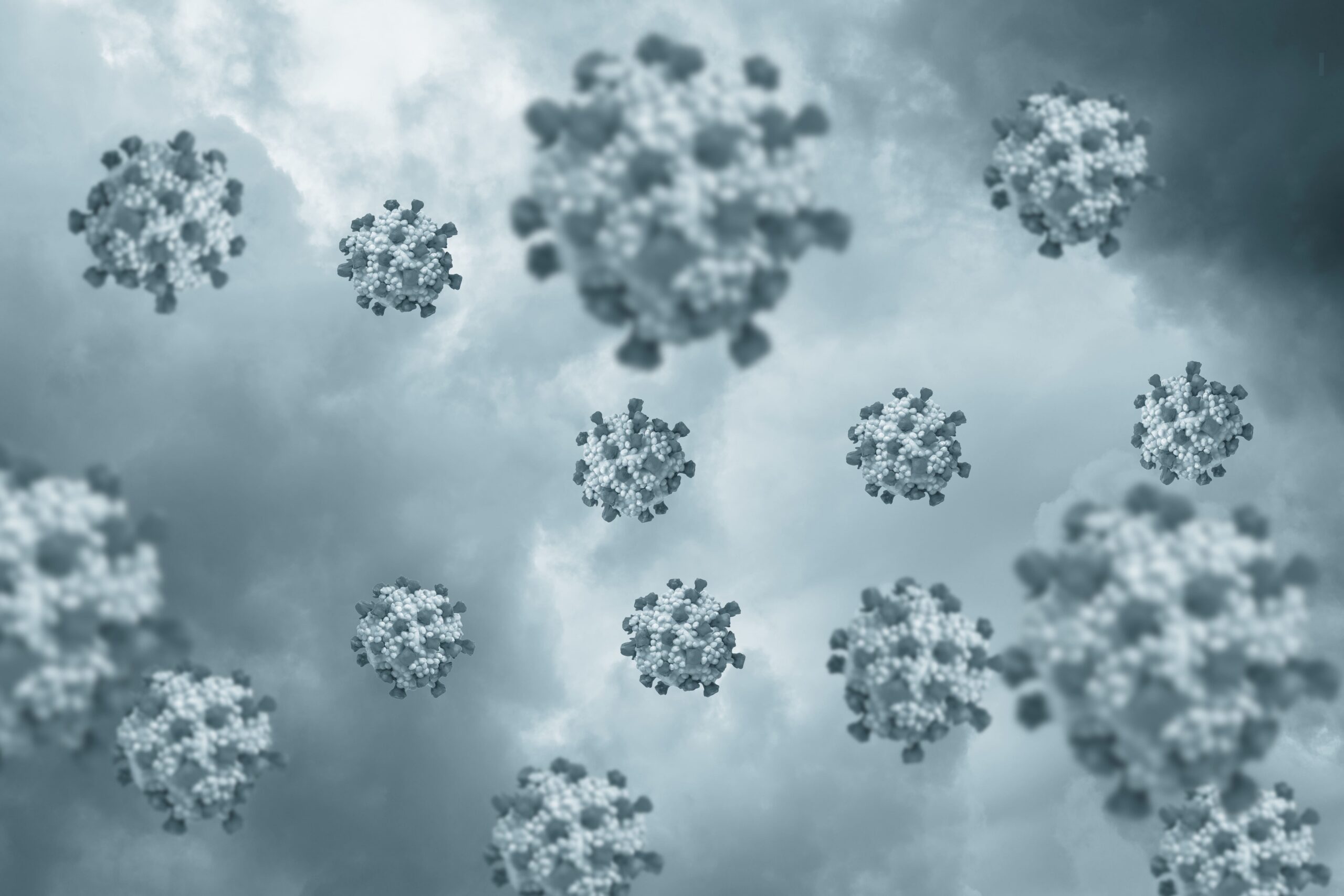 apa itu virus